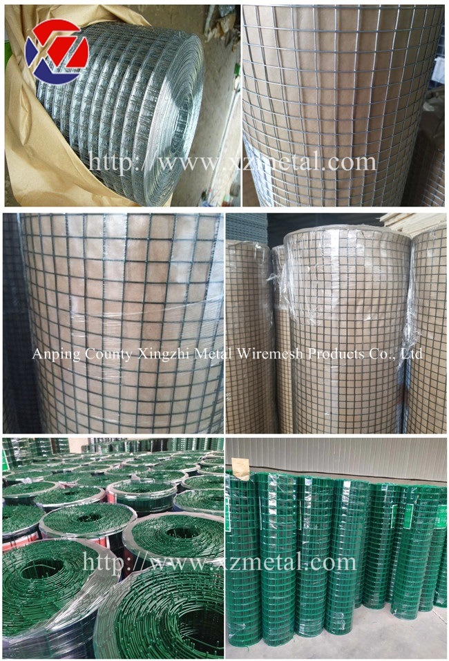 4"X2" Mesh 14gauge Hot Dipped Galvanized Welded Wire Fencing