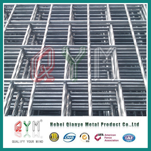 Galvanized Welded Wire Mesh Panel/ Square Iron Wire Mesh