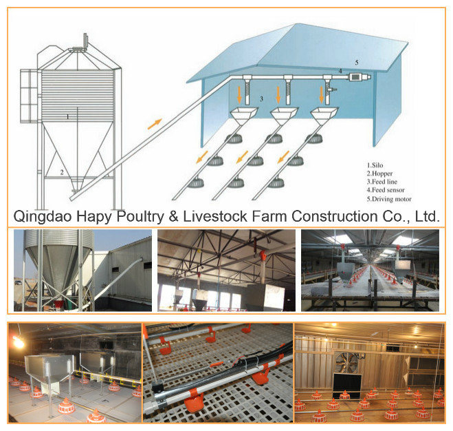 Poultry Equipment for Broiler Chicken One-Stop