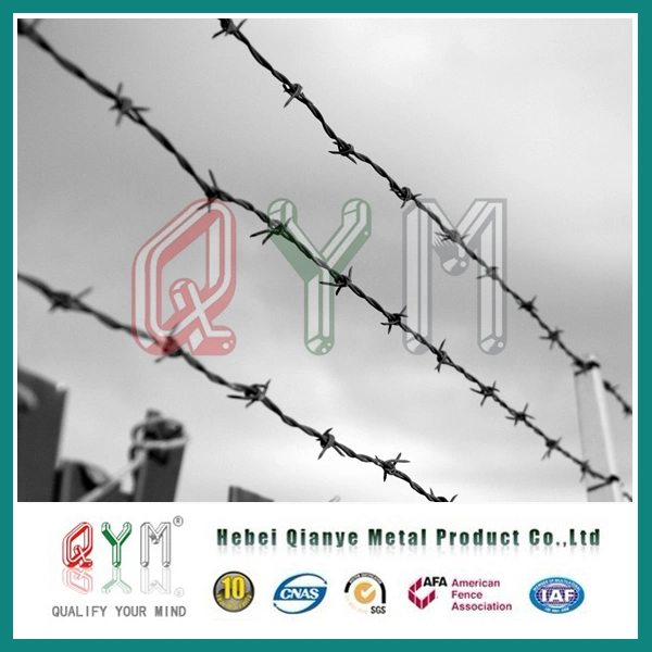 Barb Wire Iron Fence Wire/Galvanized Barbed Wire/Barbed Wire Coil