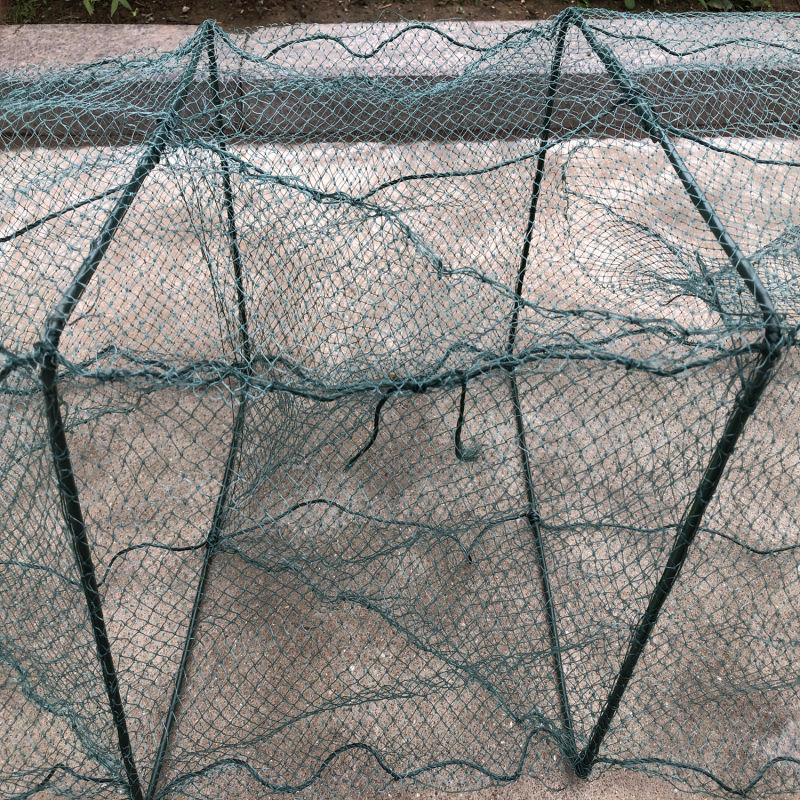 Mesh Size 1.3cm+1.3cm Sea Water Green Fishing Cage Net