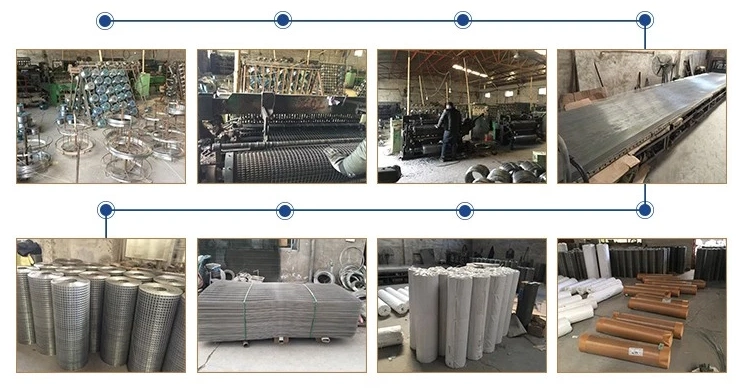 SS304 316 Stainless Steel Welded Wire Mesh Welded Netting