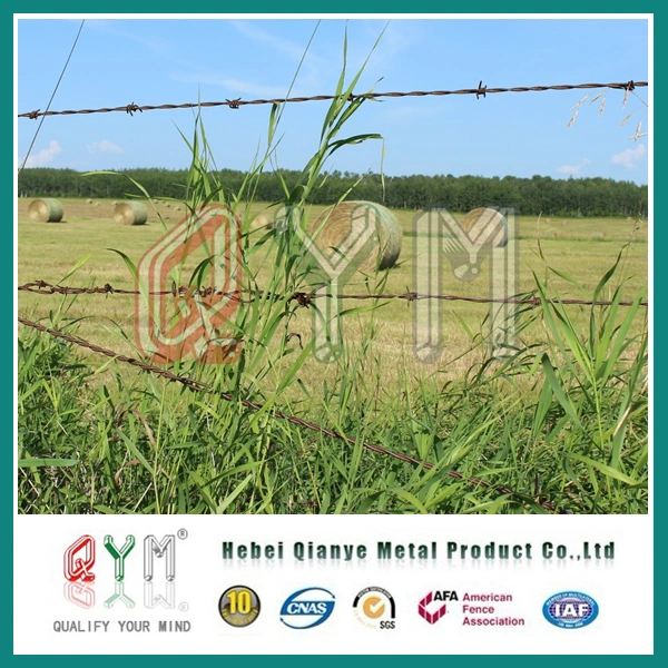 Hot Dipped Galvanized Barbed Wire Roll/Boundary Wall Security/Barbed Wire Price