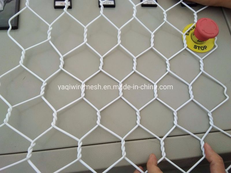 1.5 mm PVC Coated Hexagonal Wire Mesh for Chicken Coops