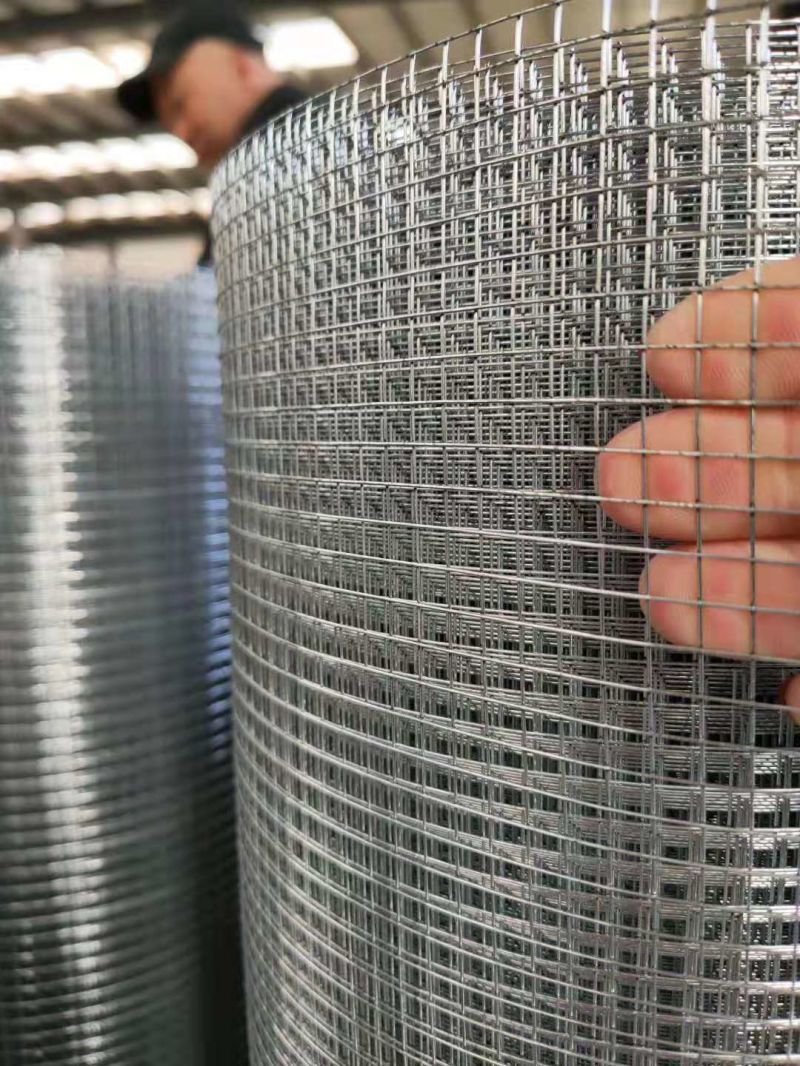 Stainless Steel /Welded Wire Mesh/Welded Fencing Mesh