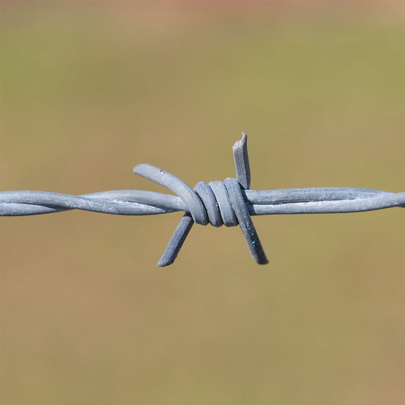 Barbed Wire/Cheap Barbed Wire Price Per Roll