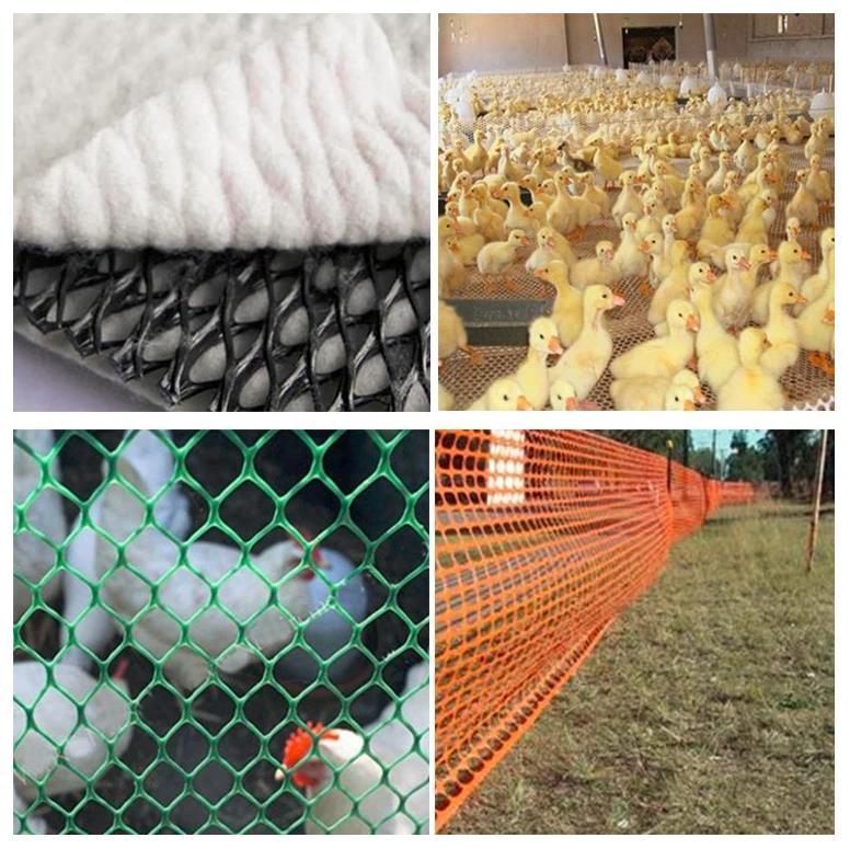 Plastic Flat Wire Mesh Anping Factory for Sale