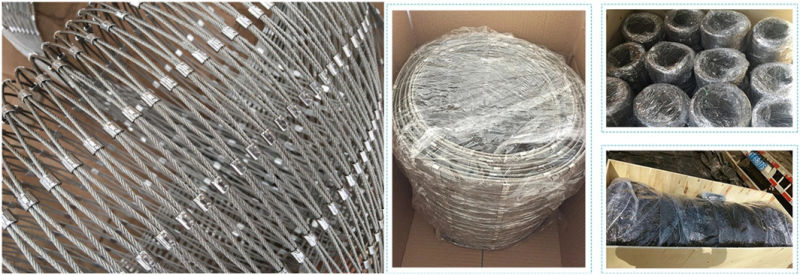 Floodlight Anti-Drop SS316 Stainless Steel Wire Rope Cable Mesh