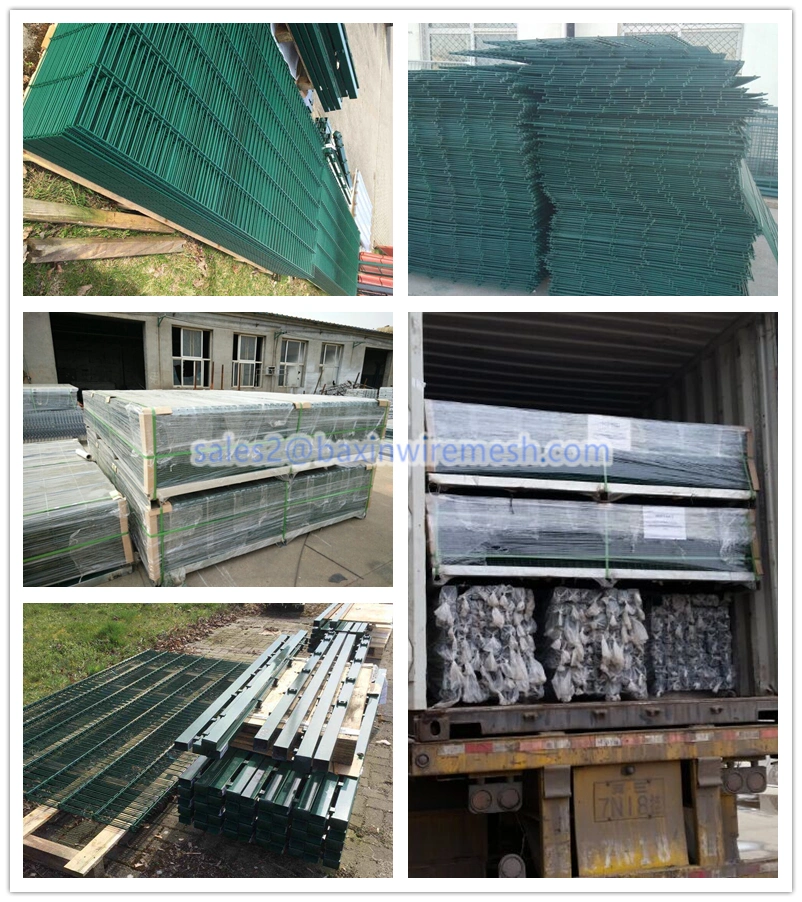 Double Wire Fence Galvanized Welded Wire Mesh Fence Panel
