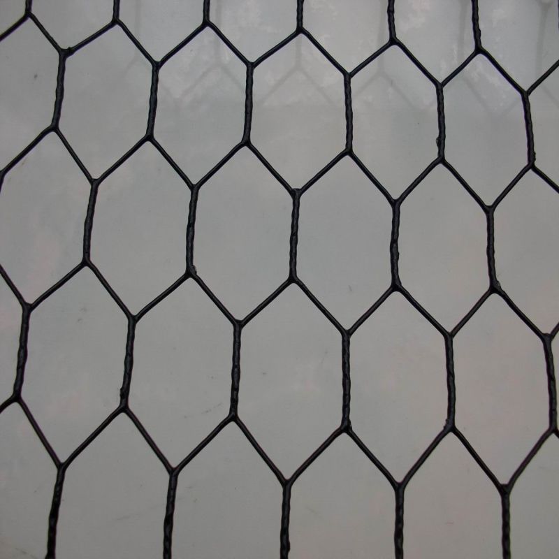 Galvanised Hexagonal Wire Mesh/Chicken Wire Mesh/Garden Net/Rabbit Netting