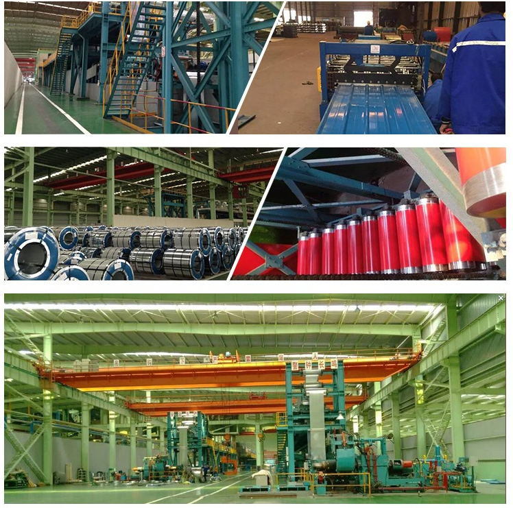 Iron and Steel Galvanized, Steel Coils and Corrugated Steel Sheet