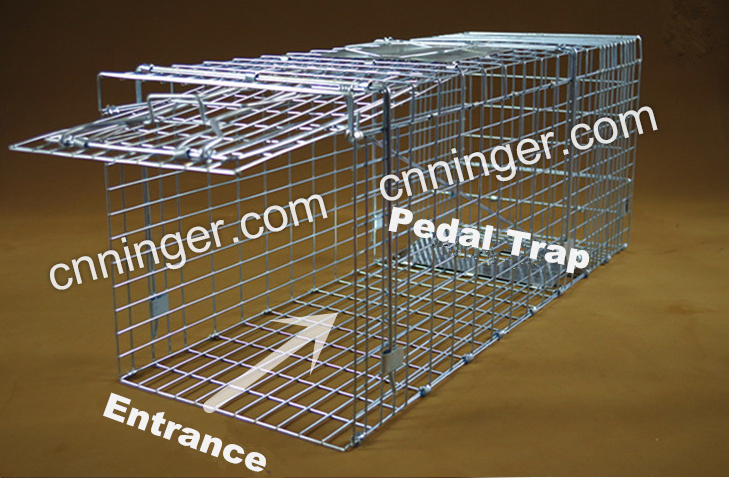 Metal Pest Cage Coyotes Cage Foxes Cage Armadillos Cage Manufacturer