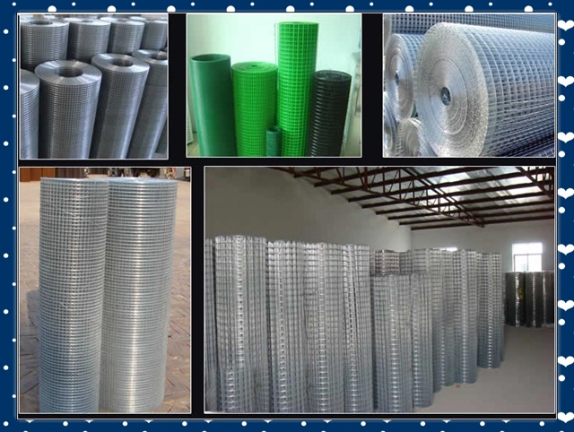 China Factory Galvanized / PVC Coated Welded Wire Mesh (20years factory & ISO9001 Approved)