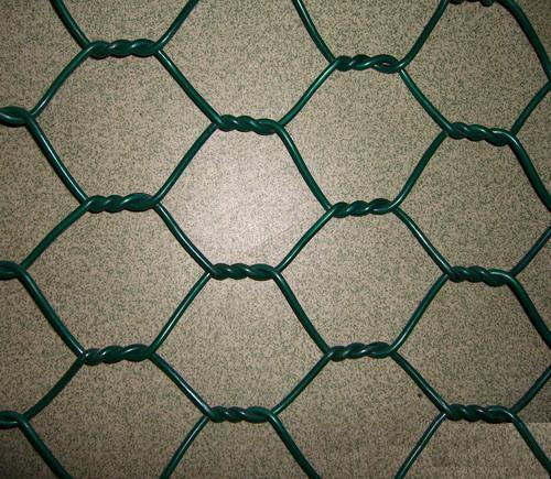 PVC Coated Galvanized Hexagonal Wire Netting Chicken Mesh