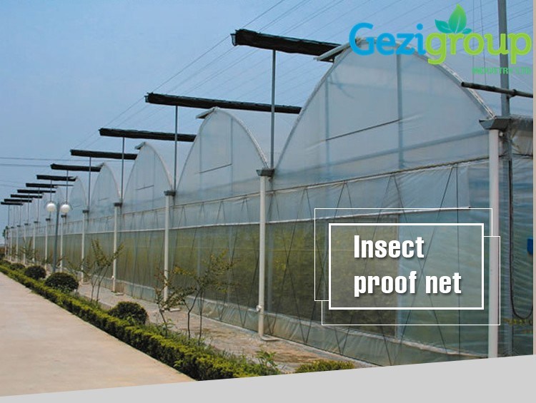 Hail Protection Net for Vegetable and Fruit Protection