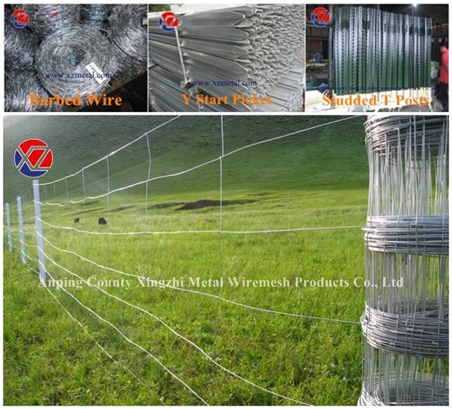 2.5mm Heavily Galvanized Farm Fence Netting/Sheep Wire Fence