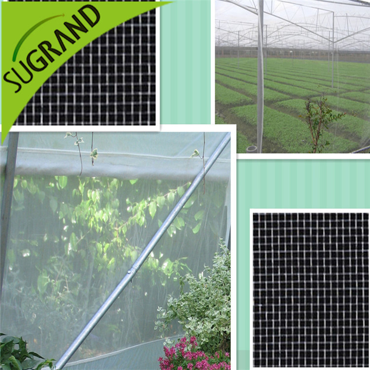 Agriculture Insect Proof Net / Plastic Insect Netting