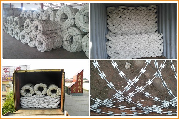 Hot Dipped Galvanized Razor Wire/Electric Galvanized Concertina Razor Barbed Wire