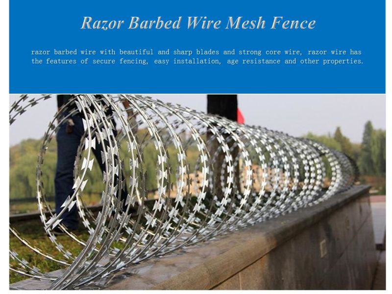 Manufacturers Supply Cheap Price Protective Spatula Barbed Wire Blade Barbed Wire Razor Barbed Wire