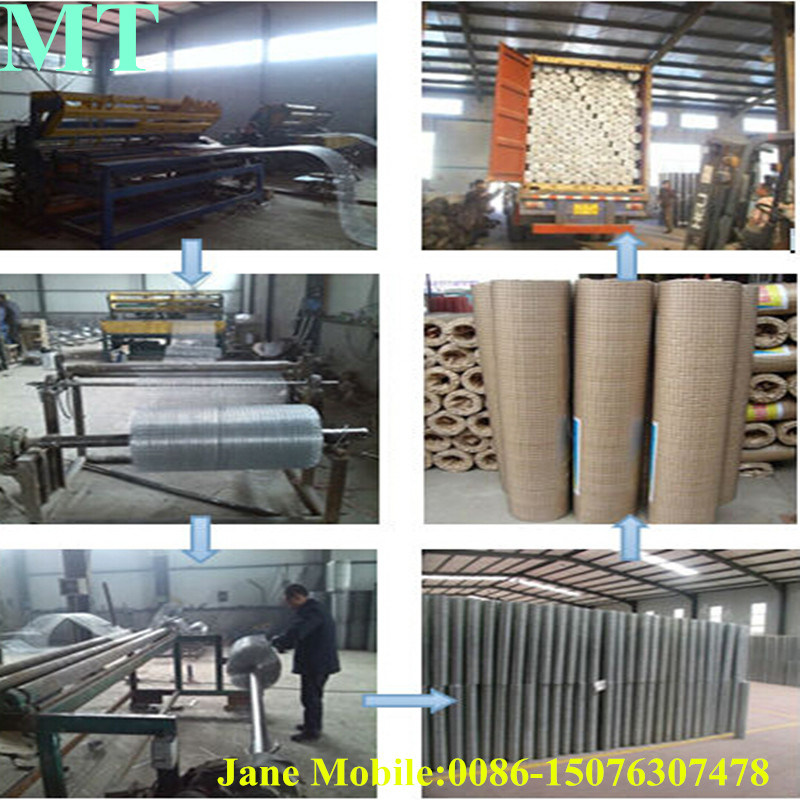 Lower Price Construction Wire Mesh /Welded Wire Mesh