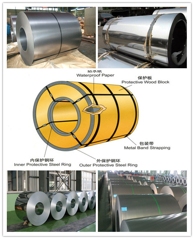 Stainless Steel Strip / Stainless Steel Coil