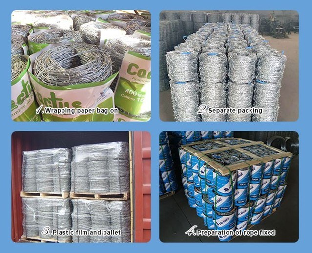 Hot-Dipped Galvanized Barbed Wire for Airport Prison Security Fence