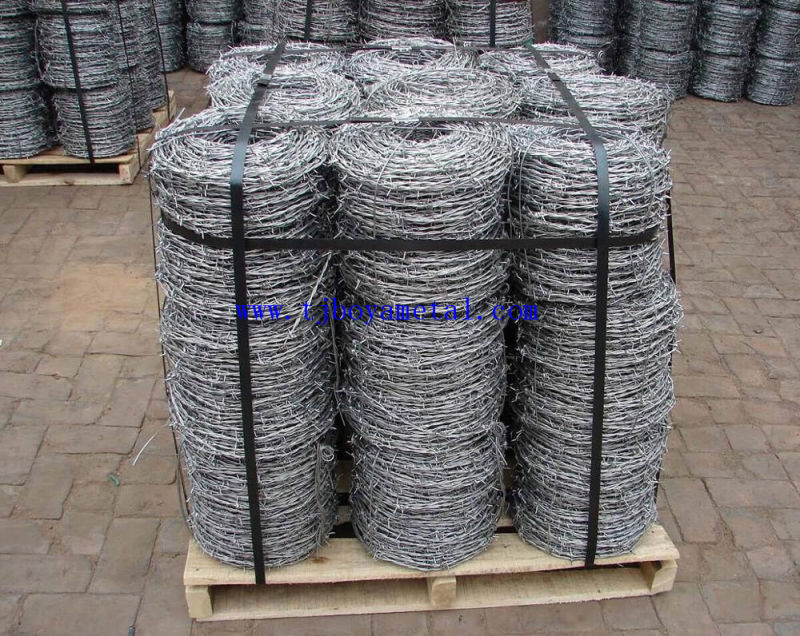 Bwg16X16 Electric / Hot Dipped Galvanized Barbed Wire/Security Fence/Barbed Wire for Garden and Farm