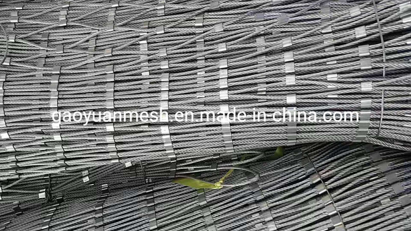 7X7 7X19 Rope Mesh Stainless Steel 304 316 for Bird Cage Animal Protective Fence/Balcony Guarding Rope Mesh