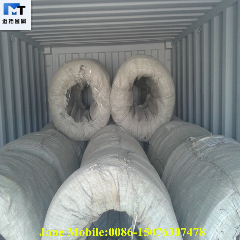 Electrical Galvanized Wire for Export (hot sale MAITUO company GW004)