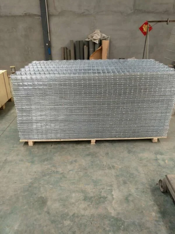 Galvanised and Powder Coated Twin-Wire Fence or Double Wire Panel Mesh Fencing From Dd Fence