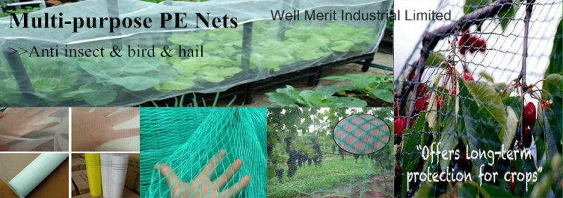 Agricultural Mesh Net Anti- Insect Net Insect Protection Net