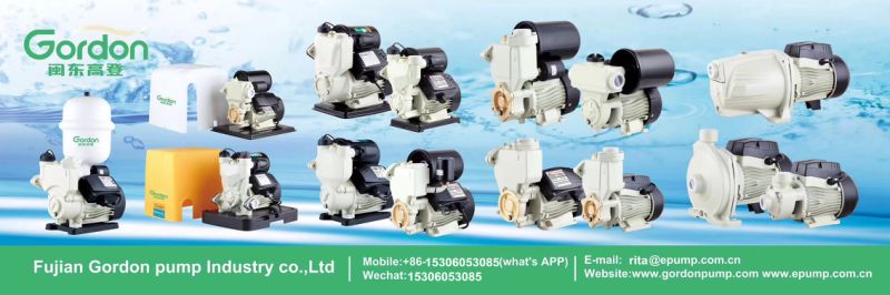 Electric Copper Wire Self-Priming Booster Jet Pump with Stainless Steel Impeller