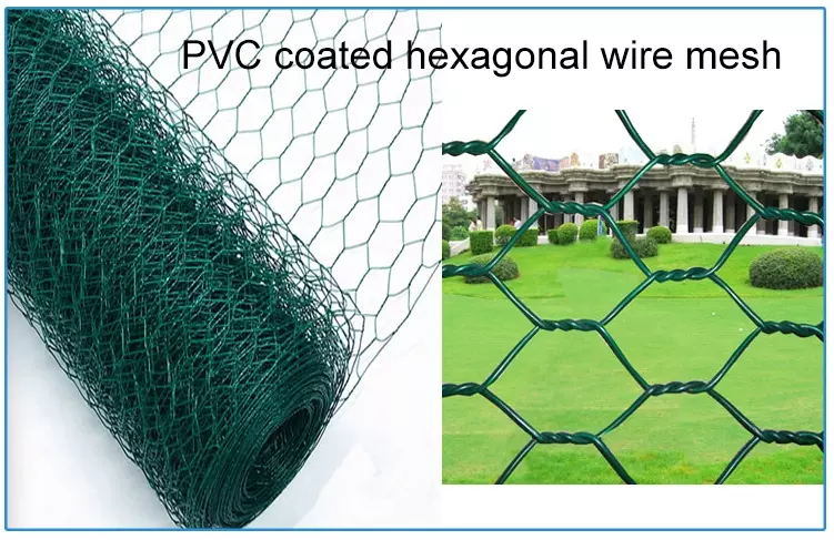 Hexagonal Wire Netting Chicken Wire Mesh PVC Coated Galvanized