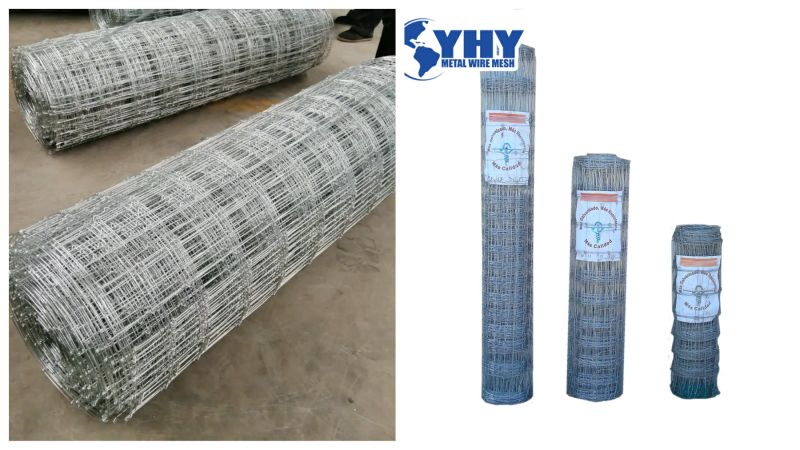 Hot Dipped Galvanized Field Fence Farm Fence Mesh
