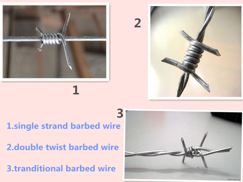 12 X 14 # Factory Galvanized /PVC Coated Barbed Wire Barbed Wire Fence