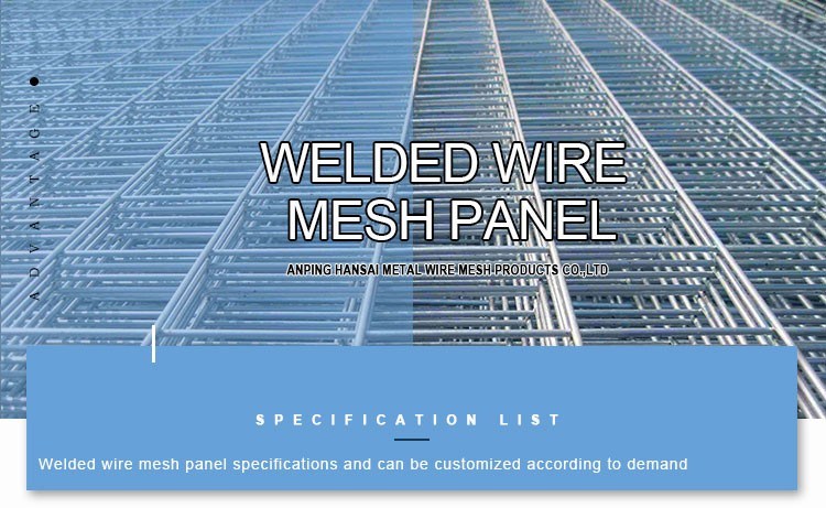 Factory Hot Dipped Galvanized Welded Wire Mesh Panel