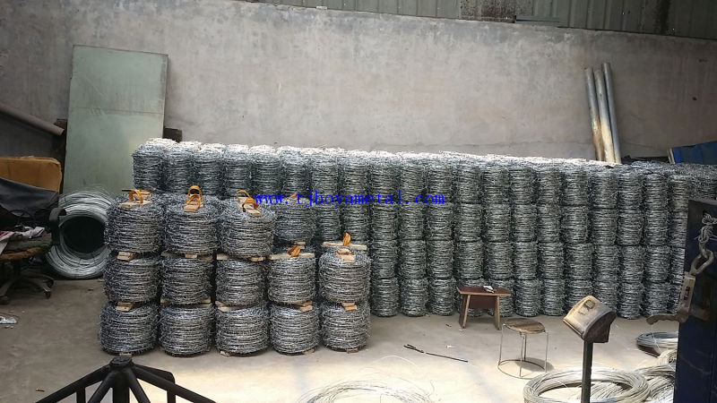 Galvanized/PVC Coated Barbed Wire/Razor Wire/Security Fence/Farm Fence/Wire Mesh/Wire Fence/Fence for Building