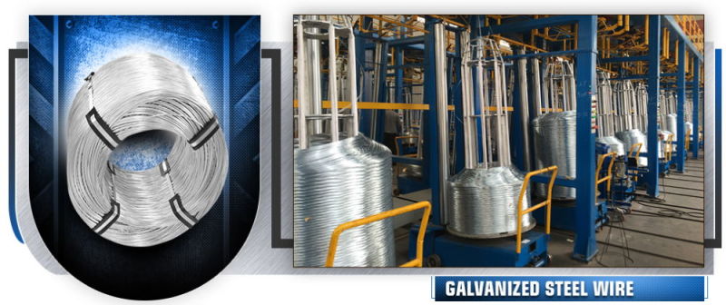 Hot Dipped Galvanized Steel Wire/High Tensile Stregth Galvanized Steel Wire