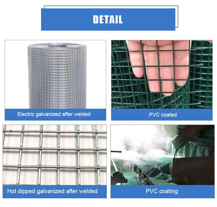 1 Inch PVC Coated Welded Wire Mesh