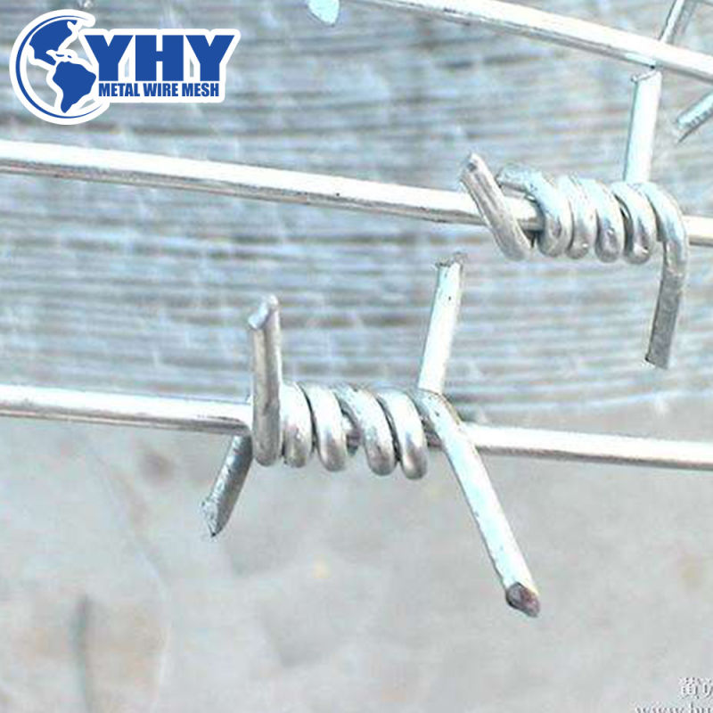 Hot Dipped Galvaznied Barbed Wire 7.5cm Barbed Wire Distance for Fence