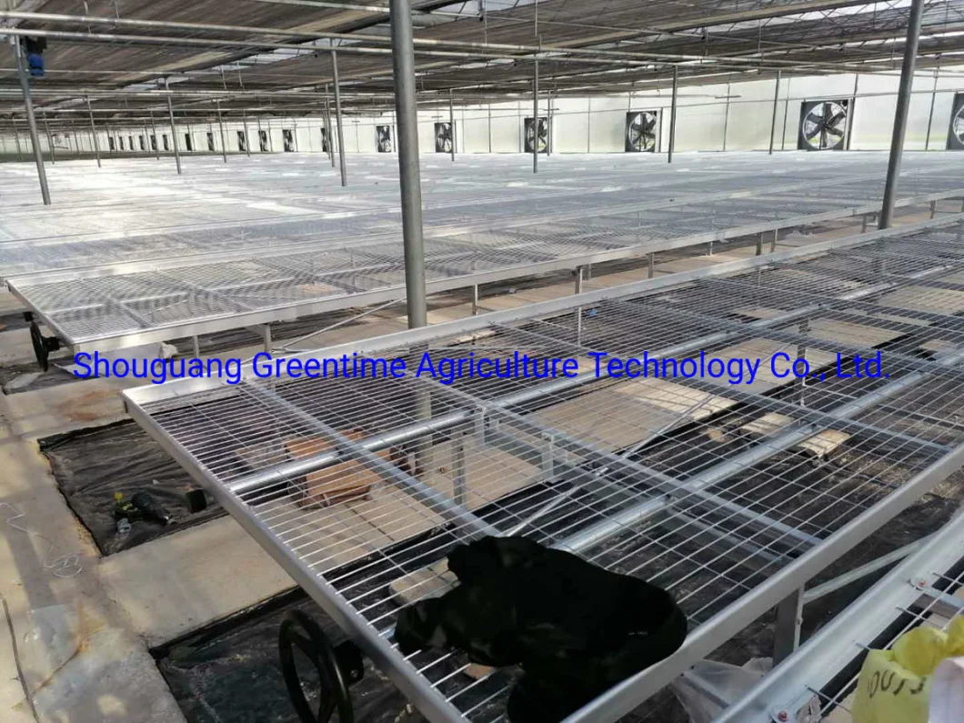 Greenhouse Mesh Steel Rolling Benches for Agricultural Planting