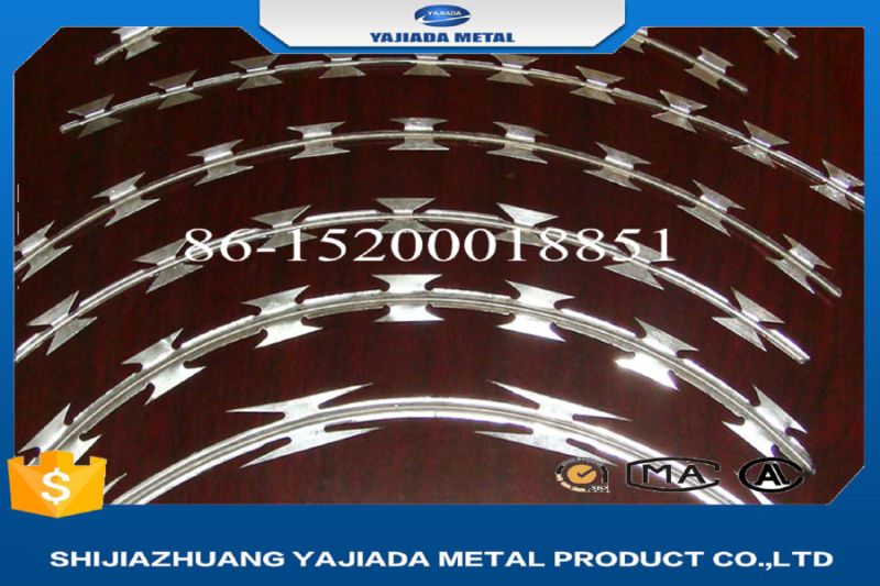 Hot Dipped Galvanized Razor Barbed Wire Cbt65