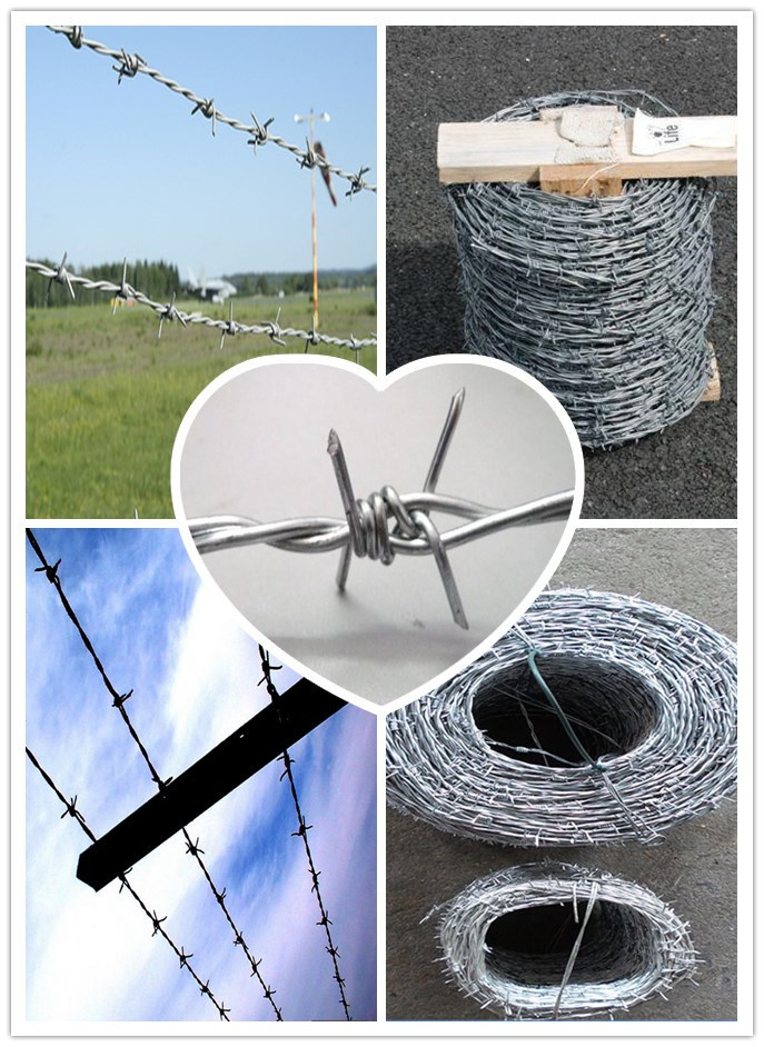 12 X 14 # Factory Galvanized /PVC Coated Barbed Wire Barbed Wire Fence