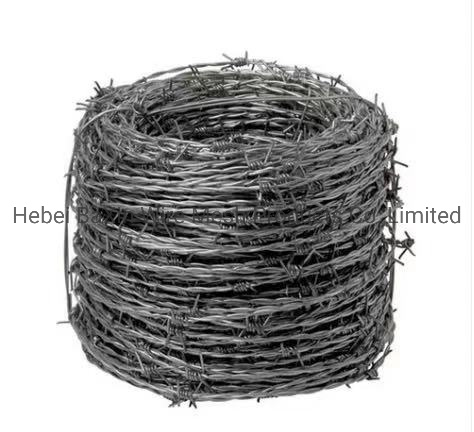 Long Galvanized Barbed Security Fence Wire Barbed Wire