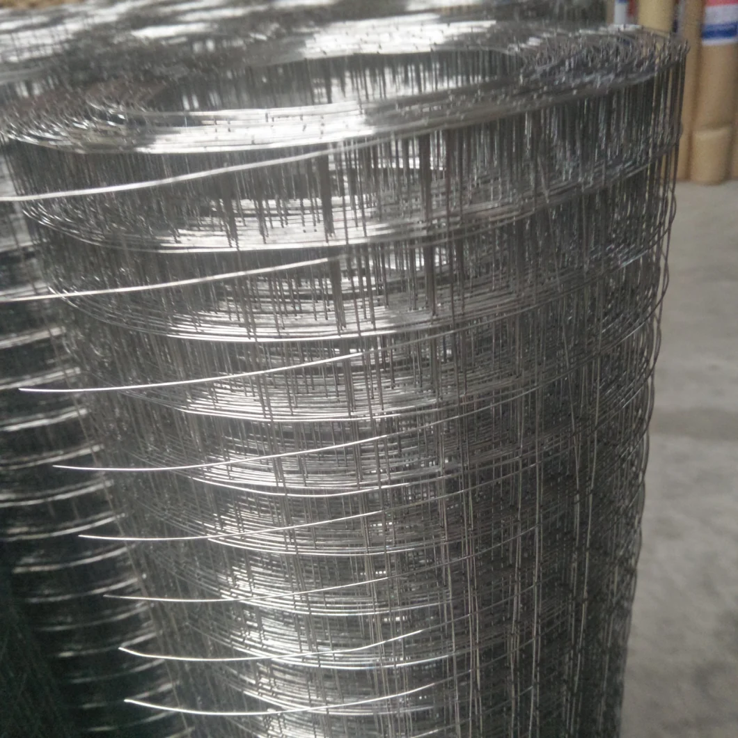 Hot Sale Galvanized Welded Wire Mesh for Building Used