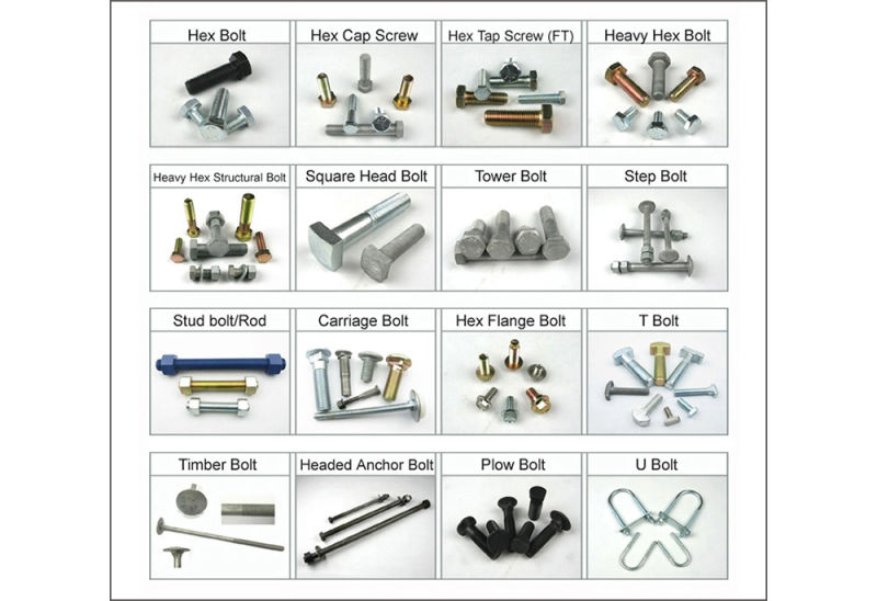 Stainless Steel 304 Zinc Steel Zinc Plating 4.8 6.8 8.8 9.8 Hex Bolt/Hexagon Bolt and Nut/Hex Cap Bolt & Nut/Hex Head Bolt Made in China