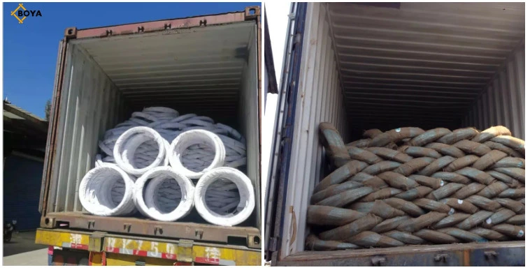 Bwg22 High Quality Electro Galvanized Steel Iron Wire From Tianjin Factory