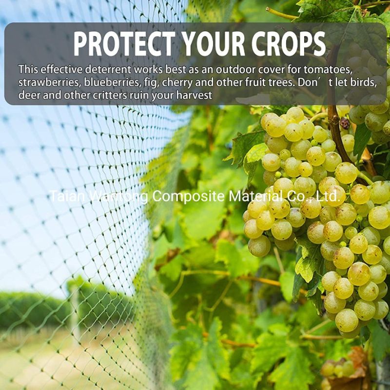 Bop PP HDPE Extruded Net Bird Protection Net/Bird Netting Agricultural/Bird Netting for Fruit Trees