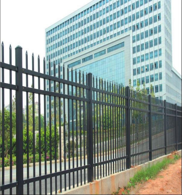 Black Coated Wrought Iron Residential Fence/Tubular Steel Garden Fencing