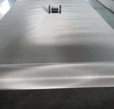 Stainless Steel Wire Mesh/Stainless Steel Wire Netting/Stainless Steel Wire Cloth